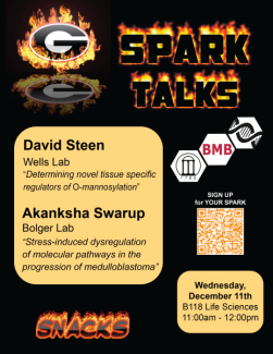 December SPARK Flyer