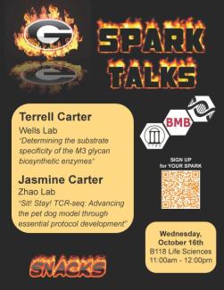 SPARK Oct 2024 flyer