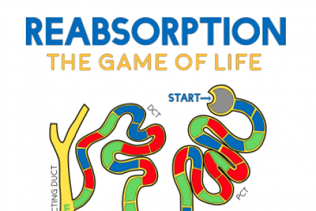 Reabsorption: A Board Game for Life