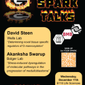 December SPARK Flyer